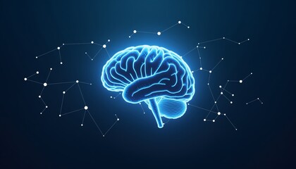 Brain Mesh Network Featuring Triangular Connections and Information Flow