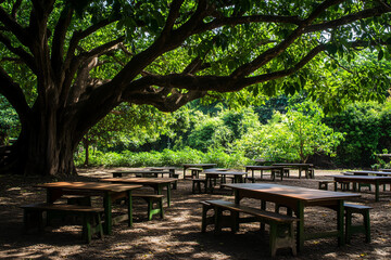 Fototapeta premium Outdoor Classroom Features Desks Arranged Under Leafy Canopy, Blending Learning with Nature