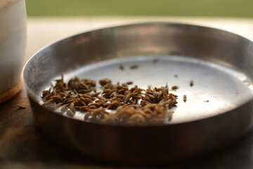 bunch of cumin seeds, popular spice used for cooking, garam masala ingredient, on a steel plate,