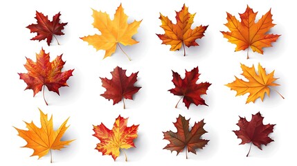 Obraz premium Fall and autumn leaves isolated on a white background collection Aİ Generative