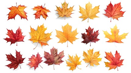 Obraz premium Fall and autumn leaves isolated on a white background collection Aİ Generative