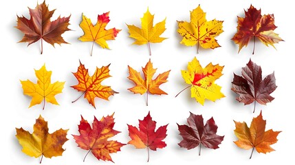 Fototapeta premium Colorful Autumn falling leaves isolated on transparent background. Ai Generative 