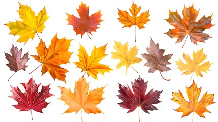 Fototapeta premium Colorful Autumn falling leaves isolated on transparent background. Ai Generative 