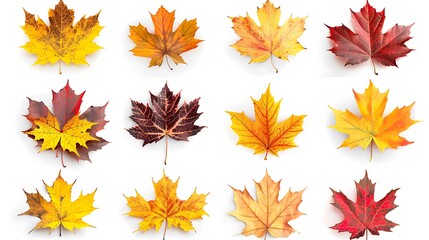 Fototapeta premium Colorful Autumn falling leaves isolated on transparent background. Ai Generative 