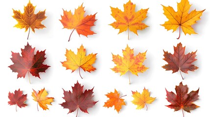 Fototapeta premium Colorful autumn leaves set isolated on white background ai generative