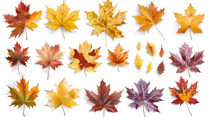 Fototapeta premium Colorful autumn leaves set isolated on white background ai generative