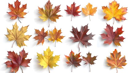 Fototapeta premium Colorful autumn leaves set isolated on white background ai generative
