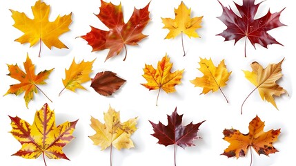 Fototapeta premium Colorful autumn leaves set isolated on white background Al Generative 
