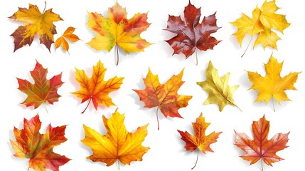 Fototapeta premium Colorful autumn leaves set isolated on white background Al Generative 