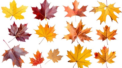 Colorful autumn leaves set isolated on white background Al Generative 