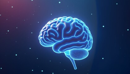 Brain Mesh Network Featuring Triangular Connections and Information Flow