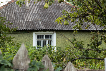 Fototapeta premium Old house with a slate roof with an old wooden fence and an old pear tree.