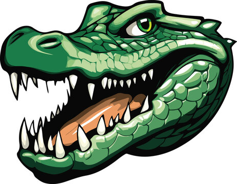 recommend clip art:  Crocodile Head Vector Illustration