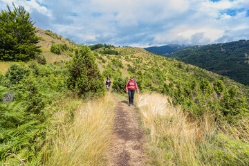 A family hiking together on a scenic hillside, surrounded by lush greenery under a vibrant blue sky, enjoying an outdoor adventure.


