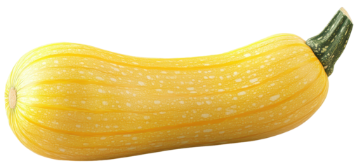Elongated yellow squash with green stem, transparent background.