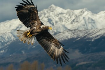 Fototapeta premium Majestic Eagle Soaring Over Snowy Mountains