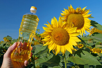 Human hand holding bottle of sunflower oil near sunflower in field