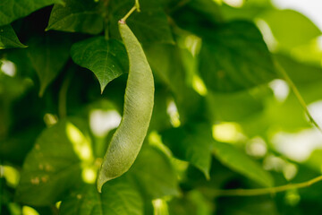 
NewIn reviewReminder13Not acceptedReleases
Submit 0 files
Your files were successfully submitted