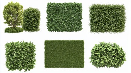 This image showcases a variety of lush green bushes and hedges, meticulously trimmed into different shapes and sizes, perfect for landscaping or garden design inspiration.