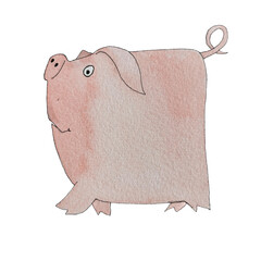 Little adorable pig as an hand-drawn illustration for children and adults on a transparent background 