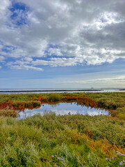 Nordsee, North Sea, Hallig Hooge, Halligen, Sunset, Sunrise, Sonnenuntergang, Sonnenaufgang, Meer, Ocean, Wasser, Wiesen, Weiden, Episch, Drohnenfotos, DJI, Dronehsots, Insel, Deutschland, Germany, 