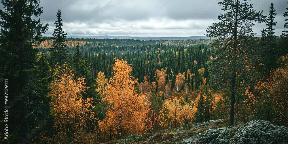 Poster a beautiful autumn day with a view of a forest