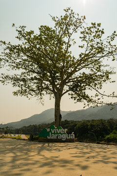 Jaragua do Sul, Brazil - September 8th 2024: #ViverJaragua sign at Parque Linear Via Verde