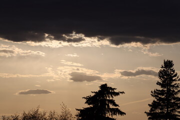 clouds glow white and gold in bright sunshine beyond looming dark heavy storm clouds above trees
