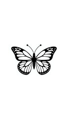 Butterfly illustration isolated on white background