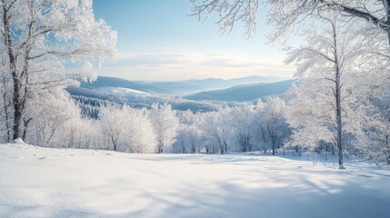Snow blankets the trees in a tranquil winter landscape, offering a clear view of majestic mountains in the distance against a serene blue sky