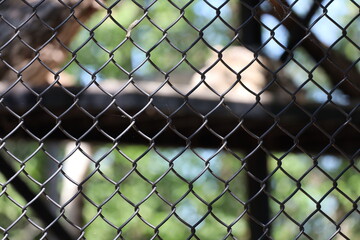 black wire chain link fence