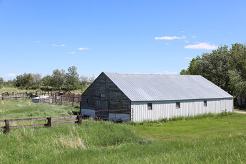 vintage barn building sits in overgrown paddocks under summer skies