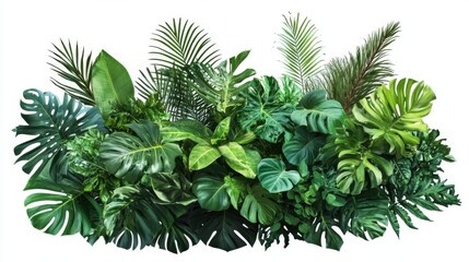 Vibrant and dense tropical plant collection showcasing an array of lush green leaves, including different shapes and textures, all vividly representing nature's diversity.