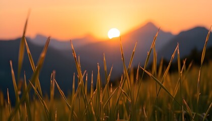 A close-up shot of delicate blades of grass gently swaying in a meadow, illuminated by the warm, golden-orange light of the setting sun, generative ai