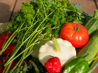 Bowl filled with newly harvested produce. Home grown and organic vegetables. Tomatoes, zucchini, parsley, flowers, apples, pears, beans, peppers, chillies and kale.