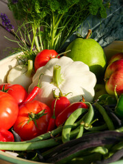 Harvest basket. Home grown vegetables, fruits and flowers just harvested. Fresh produce. Apples, pears, tomatoes, zucchini, beans, parsley, flowers, peppers, and chillies.