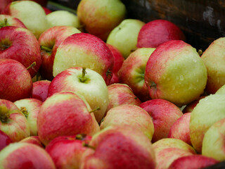 Red apples