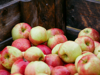 Red apples in a basket