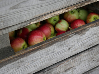 Apples in wooden box