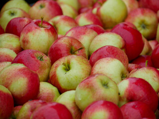 Bunch of apples