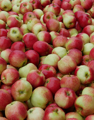 Fresh apples