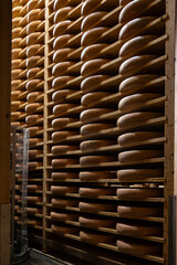 Aging rooms with shelves in cheese caves, central location for aging of wheels, rounds of Comte cheese from four months to several years made from raw cow milk, Jura, France