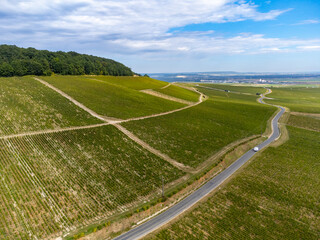 Aerial view on green grand cru vineyards near Cramant and Avize, region Champagne, France. Cultivation of white chardonnay wine grape on chalky soil of Cote des Blancs