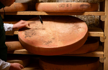 Cheese check in aging rooms with shelves in caves, central location for aging of wheels, rounds of Comte cheese from four months to several years made from unpasteurised cow milk, Jura, France