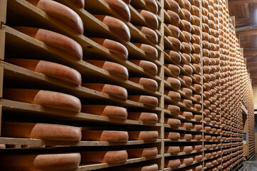 Aging rooms with shelves in cheese caves, central location for aging of wheels, rounds of Comte cheese from four months to several years made from raw cow milk, Jura, France
