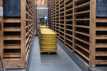 Aging rooms with shelves in cheese caves, central location for aging of wheels, rounds of Comte cheese from four months to several years made from raw cow milk, Jura, France