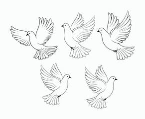 Obraz premium Dove silhouette EPS vector isolated illustration template on a white background
