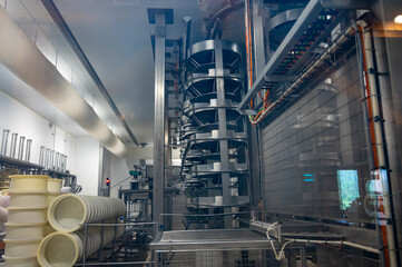 Fruitiere french cheese production farm, morning works making of wheels, rounds of Comte cheese from raw cow milk, Franche-Comte, Jura, France