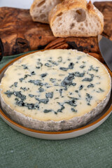 Cheese collection, piece of French blue cheese auvergne or fourme d'ambert