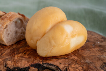 Cheese collection, Italian cheese scamorza, caciocavallo, provolone made from cow milk in South Italy yellow smoked cheese